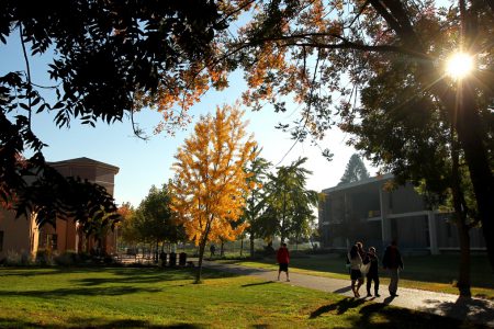 homepage photo 11 121